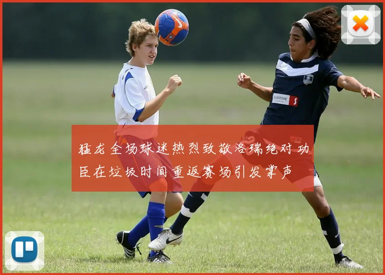 猛龙全场球迷热烈致敬洛瑞绝对功臣在垃圾时间重返赛场引发掌声